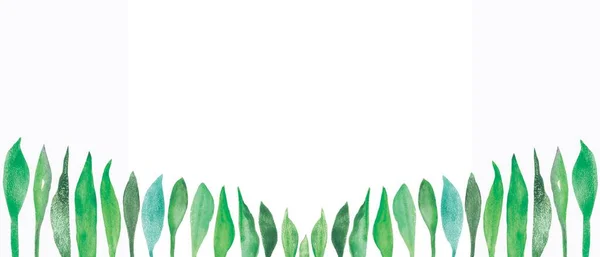 Aquarel Hand Geschilderd Natuur Groen Banner Lijn Met Groene Blauwe Stockafbeelding