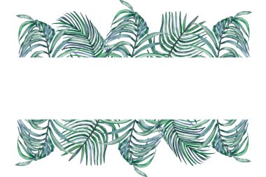 Suluboya el boyası doğa yeşil palmiye yaprakları içerikli tropikal afiş çerçeve davet ve tebrik kartı tasarımı için metin alanı ile beyaz arkaplan üzerinde