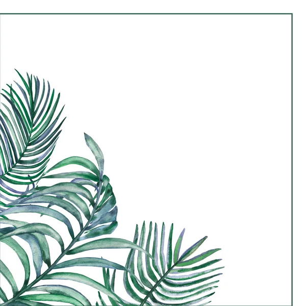 Aquarel Hand Geschilderd Natuur Tropische Hoek Frame Met Groene Palm Stockfoto
