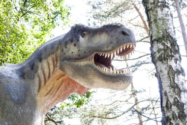 dinozor 6
