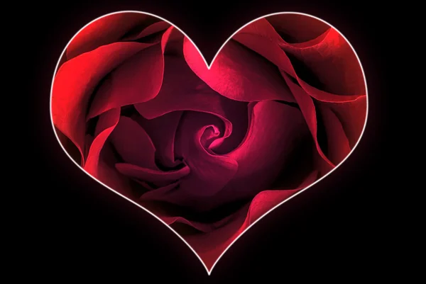 A heart of a rose 3 — Stock Photo, Image