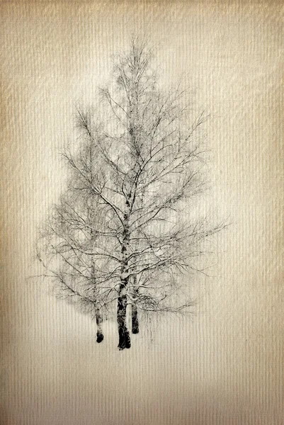Grunge kağıt üzerinde ağaç — Stok fotoğraf