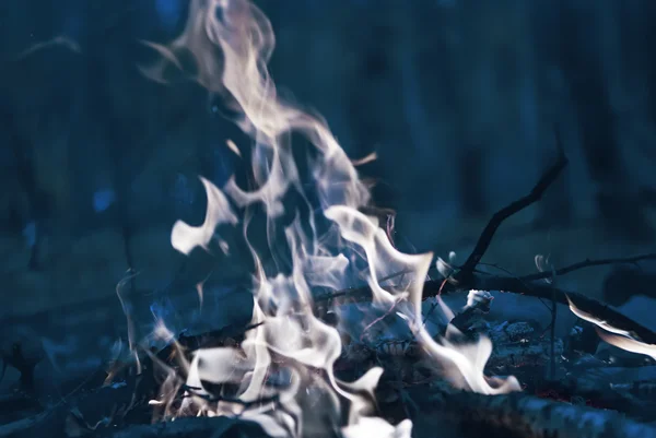 Спалені вогнем — стокове фото