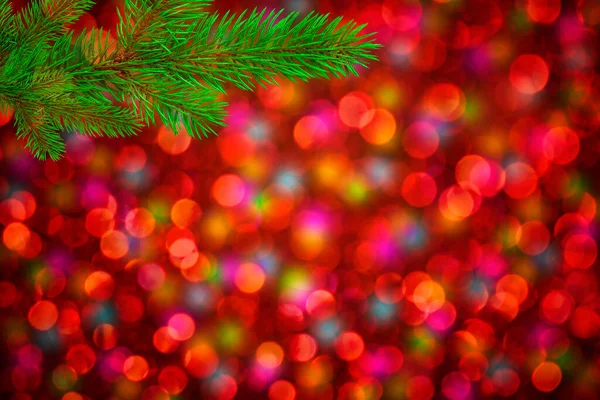 Natale Ramo Pino Verde Sfondo Colorato Bokeh — Foto Stock