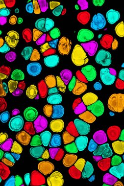 Renkli soyut akrilik boya hücreleri. Serbest akan hücreler. Dökülüyor.