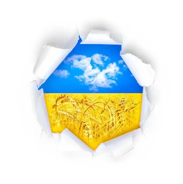 Widok Ukraińskiej Flagi Przez Wielki Przełom Papierze Białymi Chmurami Żółtą — Zdjęcie stockowe