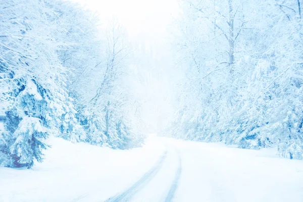 Kar Fırtınası Sırasında Yemyeşil Ağaçlarla Dağlarda Soğuk Karlı Kış Yolu — Stok fotoğraf