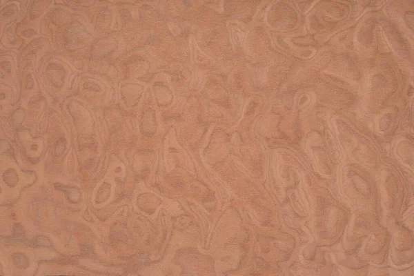 Radica Exotic Wood Panel Texture Pattern — Stock Photo, Image