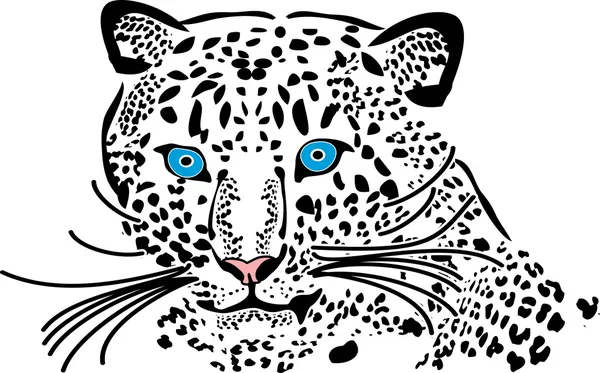 Leopardo — Vetor de Stock