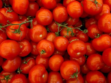 ezbere tomaten