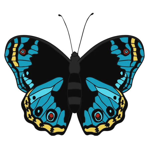 Ilustracja wektorowa motyl na białym tle. — Wektor stockowy