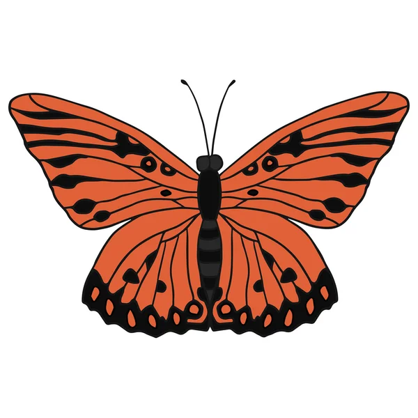 Butterfly geïsoleerde vectorillustratie. — Stockvector