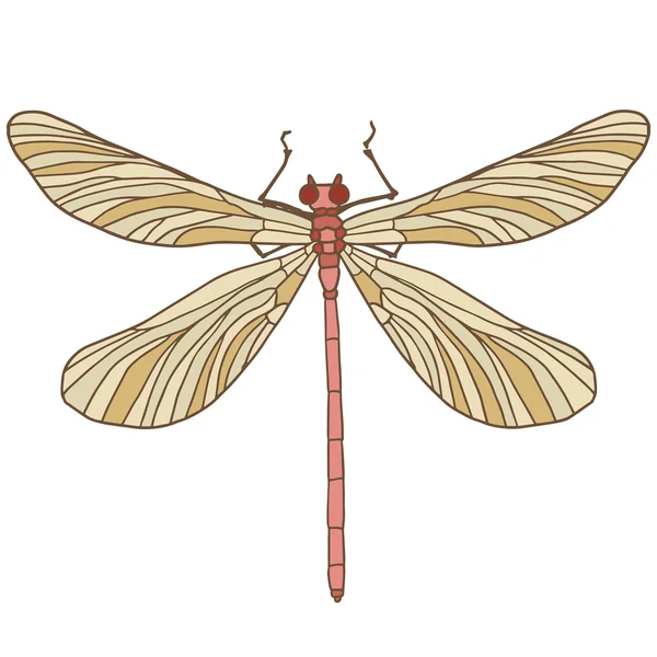 Illustrazione vettoriale isolata della libellula . — Vettoriale Stock