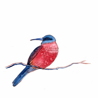 carmine Arı yiyen kuş suluboya-styla vektör çizim