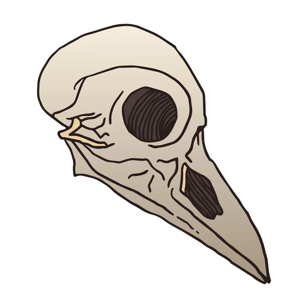 Kuş kafatası vektör çizim — Stock Vector