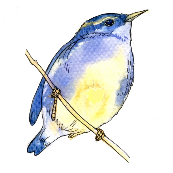 Vektor-Illustration im Aquarell-Stil des kleinen blauen Vogels — Stockvektor