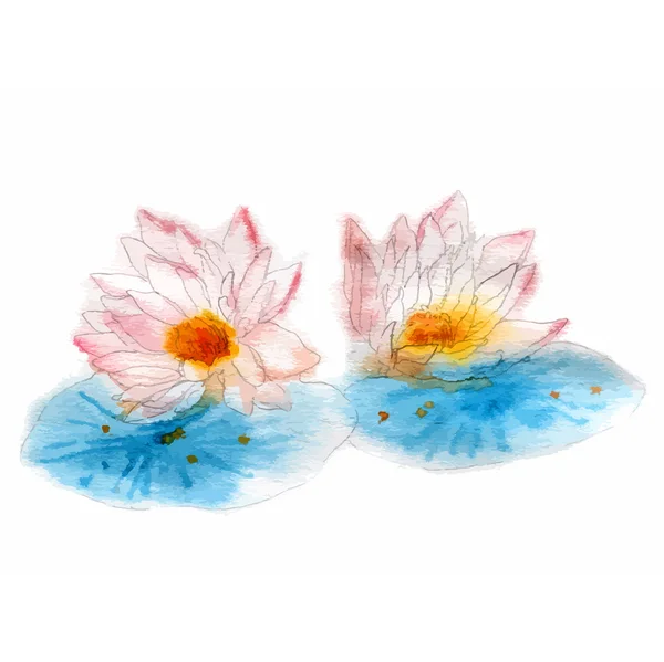 Ilustracja wektorowa stylu przypominającym akwarele, lilii wodnej. — Wektor stockowy