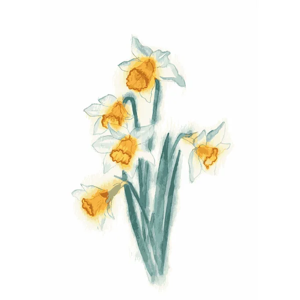Illustration vectorielle de style aquarelle de Narcisse . — Image vectorielle