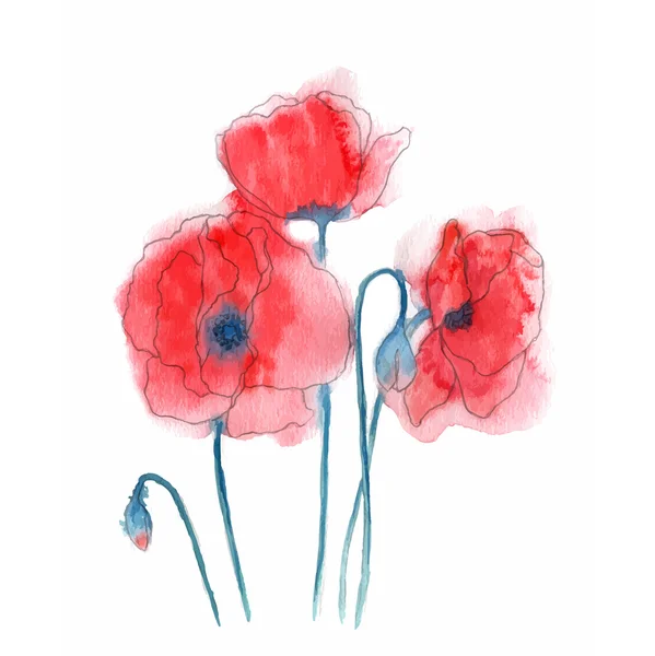 Watercolor style vector illustration of Poppies. — Stock Vector