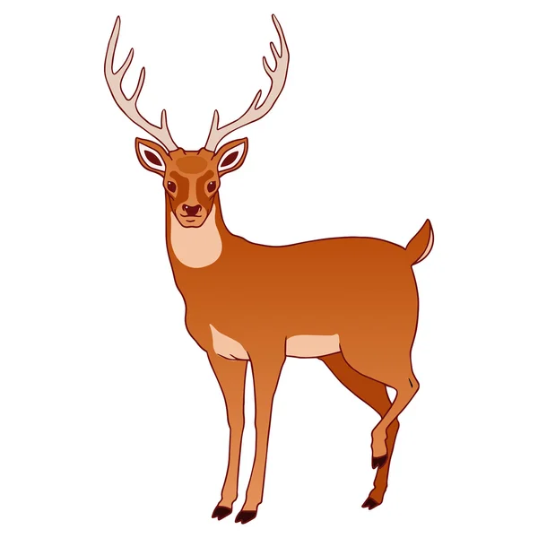 鹿のイラスト — ストックベクタ