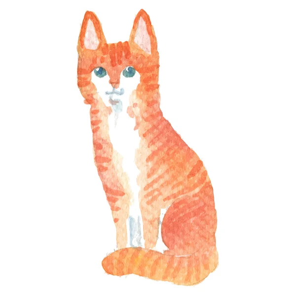 Ilustração vetorial em estilo aquarela de gato . — Vetor de Stock