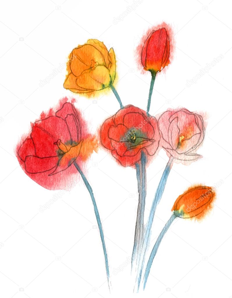 Watercolor style vector illustration of Tulips.
