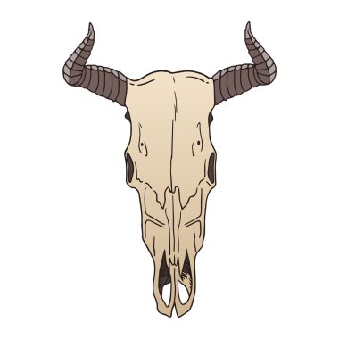 inek kafatası vektör çizim çiçek arka plan üzerinde