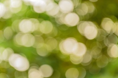 doğal bokeh