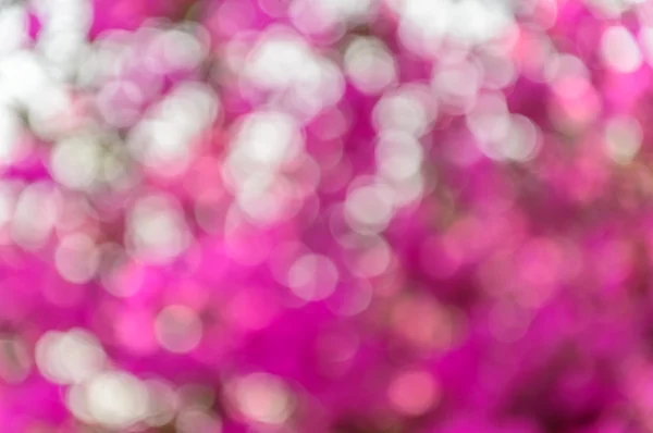 Natural Bokeh — Stock Photo, Image