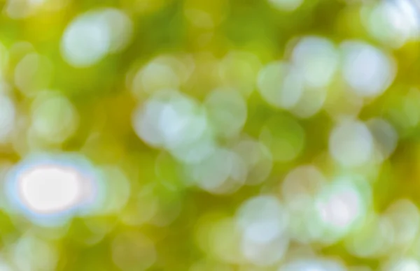 Natural Bokeh — Stock Photo, Image