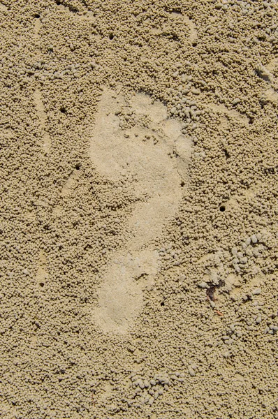 Footprints — Stock Photo, Image