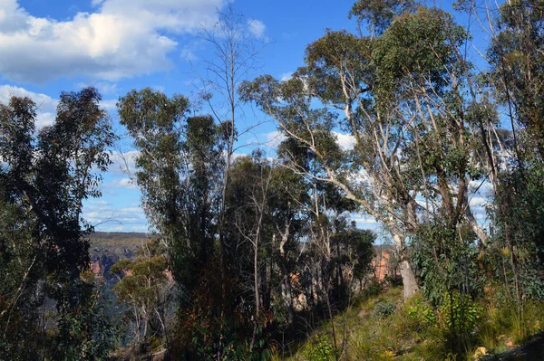 Pohled Victoria Falls Walk Mount Victoria Modrých Horách Austrálie — Stock fotografie