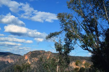 Victoria Şelalesi 'nden Grose Vadisi manzarası Avustralya' nın Mavi Dağları 'ndaki Victoria Dağı' nda.
