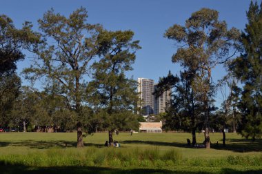 Sydney 'nin batısındaki Parramatta Park' tan Parramatta şehrinin manzarası.