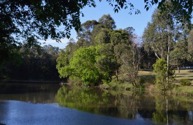 Sydney 'nin batısındaki Parramatta Parkı' ndan Parramatta Nehri manzarası.