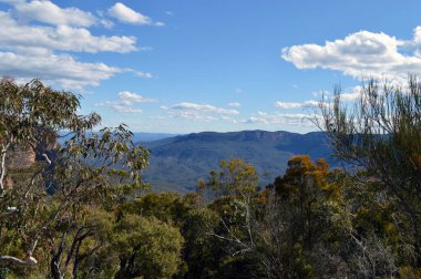 Avustralya 'nın Mavi Dağları' ndaki Jamison Vadisi manzarası
