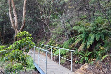 Avustralya 'nın Mavi Dağları' ndaki Katoomba 'da uçurumun bir bölümü yürüyor.