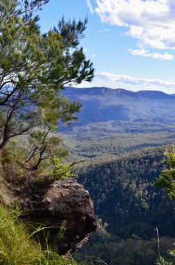 Mavi Dağlardaki Undercliff Yürüyüşü 'nden Jamison Vadisi manzarası