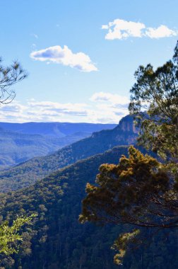 Avustralya 'nın Mavi Dağları' ndaki Jamison Vadisi manzarası