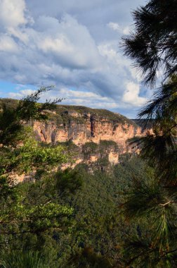 Mavi Dağlardaki Undercliff Yürüyüşü 'nden Jamison Vadisi manzarası