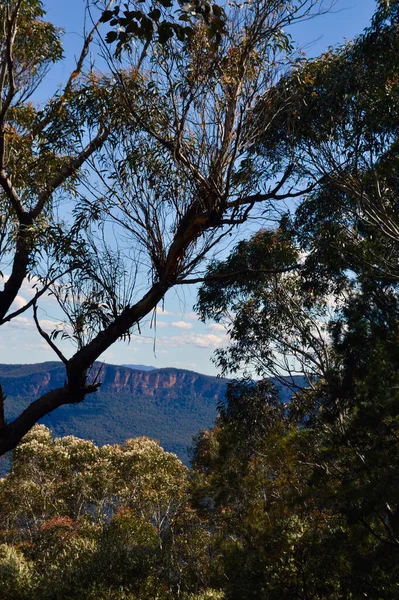 Вид Долину Джеймісон Блакитних Горах Австралії — стокове фото