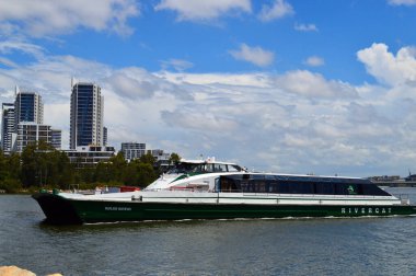 Nehir Kedisi Sydney, Avustralya 'daki Parramatta Nehri boyunca süzülür.