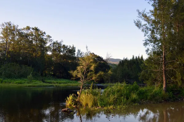 Una Vista Del Río Bellinger Sol Tarde — Foto de Stock