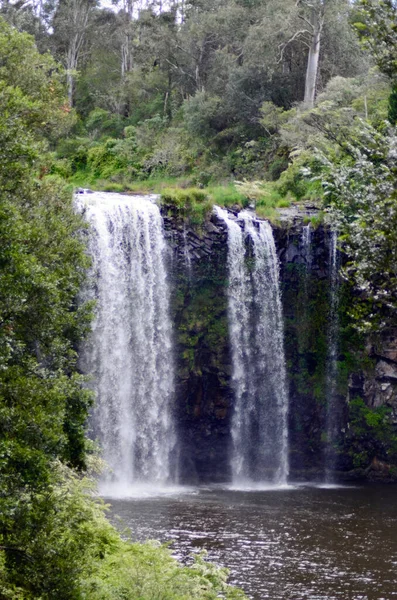 Una Vista Dangar Falls Camino Cascada Nsw Australia — Foto de Stock