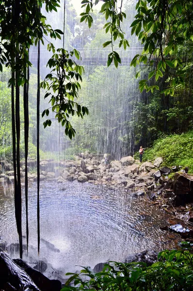Ein Blick Hinter Die Kristallduschfälle Auf Dem Wasserfallweg — Stockfoto