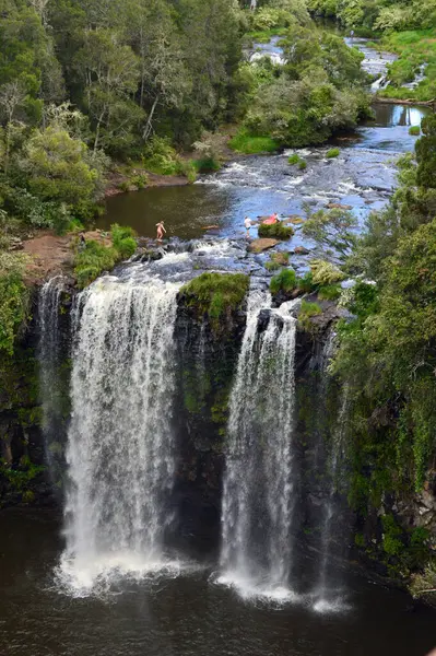 Blick Auf Die Dangar Falls Auf Dem Waterfall Way Nsw — Stockfoto