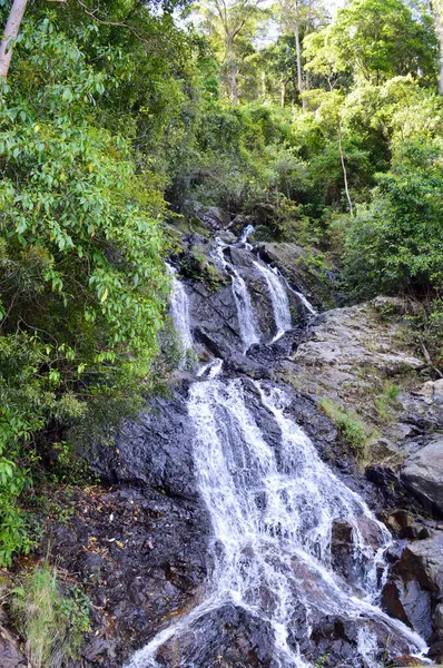 Newell Falls Längs Waterfall Way Nsw Australien — Stockfoto