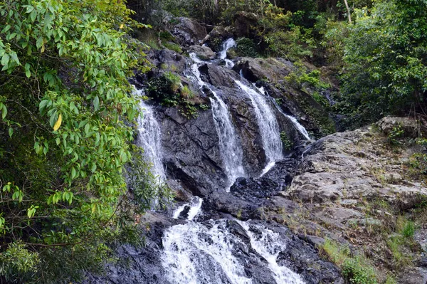Newell Falls Waterfall Way Nsw Australien — Stockfoto