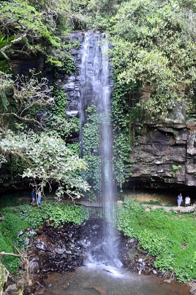 Une Vue Des Chutes Douche Cristal Dans Parc National Dorrigo — Photo