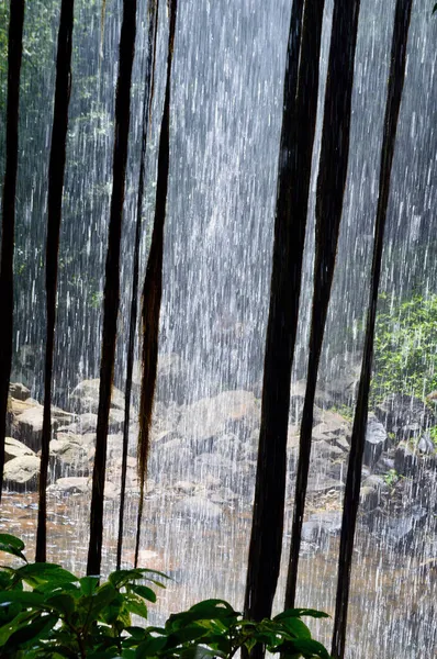 Ein Blick Auf Die Crystal Shower Falls Dorrigo National Park — Stockfoto